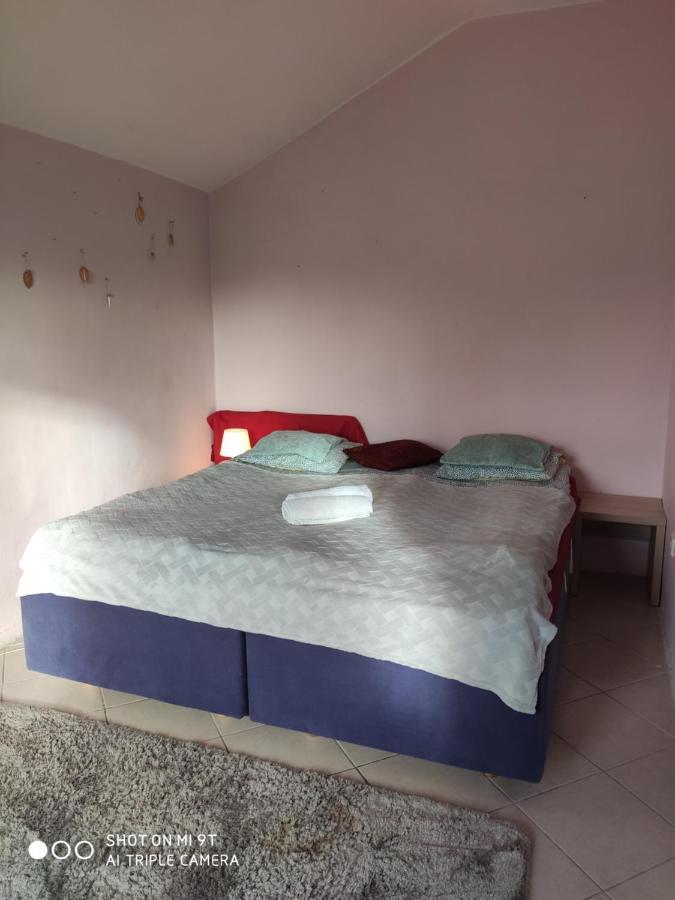 Popularna Guest Home Varşova Dış mekan fotoğraf